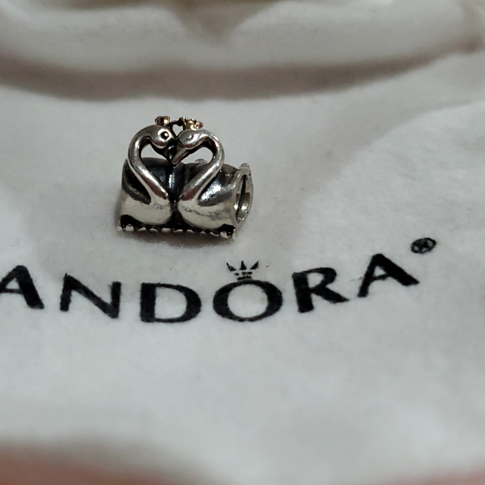 Authentic Pandora Bangle & Charm - image 6